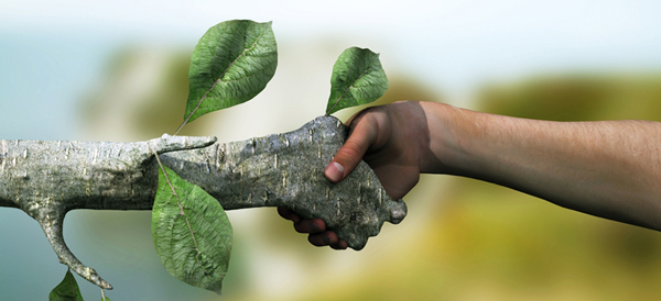 le aziende ricercano competenze green